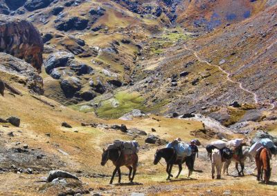 Trek Ausangate Cordillère Vilcanota - Treks Pérou cordillère des Andes
