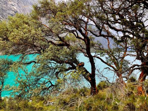 Trek Santa Cruz de Llanganuco - Cordillère Blanche Huaraz - Treks Pérou cordillère des Andes