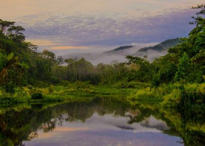 Manu - Amazonie péruvienne circuit nature