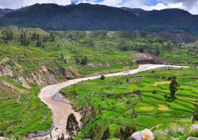 Canyon de Colca Arequipa Terres Péruviennes