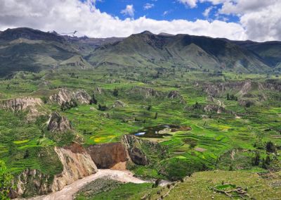 Terrasses et rio Colca - Canyon de Colca Arequipa Terres Péruviennes