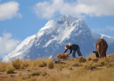 Paysan andes - Treks Pérou cordillère des Andes
