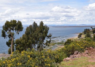 Llachon - Lac Titicaca patrimoine culturel vivant