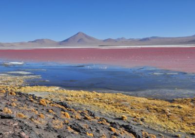 Lac Coloré Sud Lipez - Circuit combiné Pérou Bolivie logistique experte Terres Péruviennes