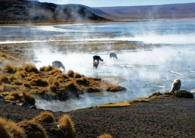 Laguna Colorada Sud Lipez - Circuit combiné Pérou Bolivie logistique experte Terres Péruviennes