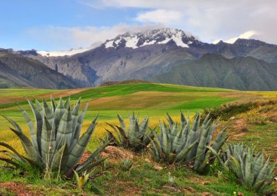 maras-400x284
