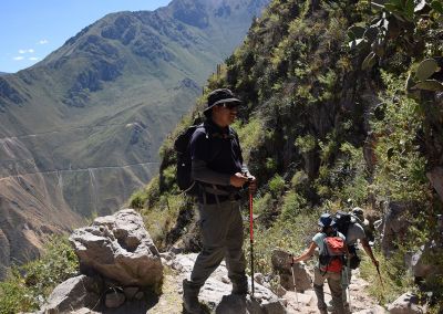 Trek Canyon Colca - Descent - Treks Pérou cordillère des Andes